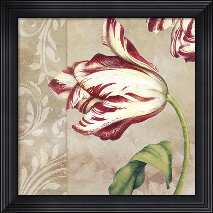 Framed Peppermint Tulips II Print
