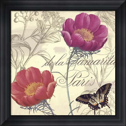 Framed Petals of Paris I Print