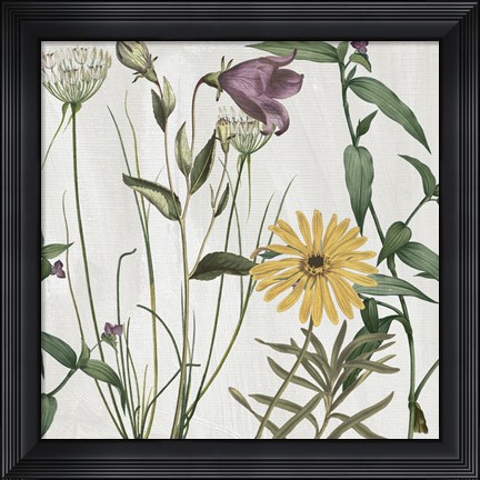 Framed Softly I Print