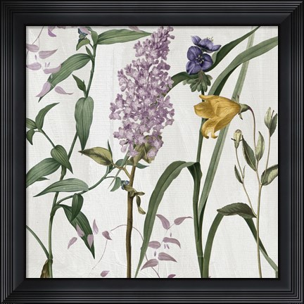 Framed Softly II Print