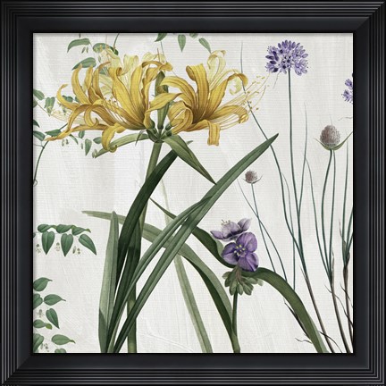 Framed Softly IV Print