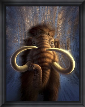 Framed Woolly Mammoth in Snow Print