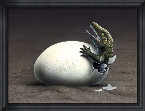 Framed Seymouria Hatching Print