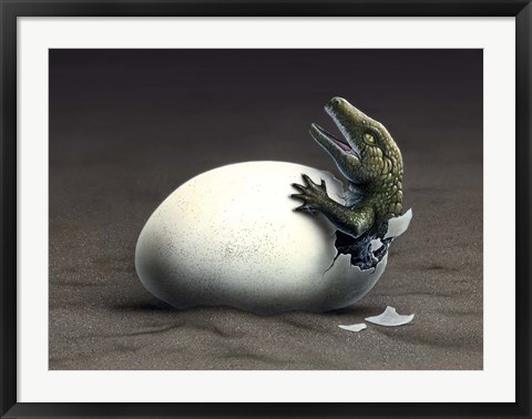 Framed Seymouria Hatching Print