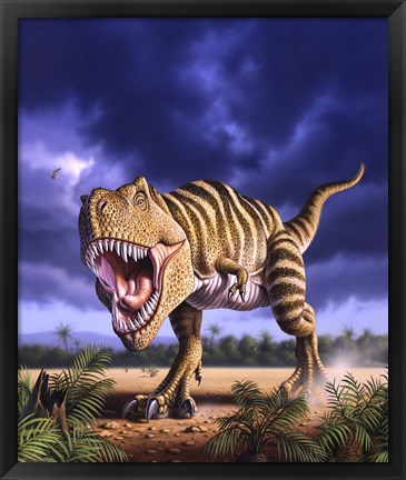 Framed Tyrannosaurus Rex Print