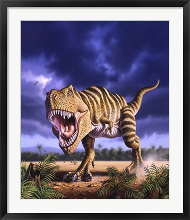 Framed Tyrannosaurus Rex Print