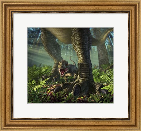 Framed Baby Tyrannosaurus Rex Print
