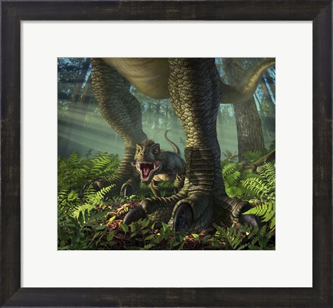 Framed Baby Tyrannosaurus Rex Print