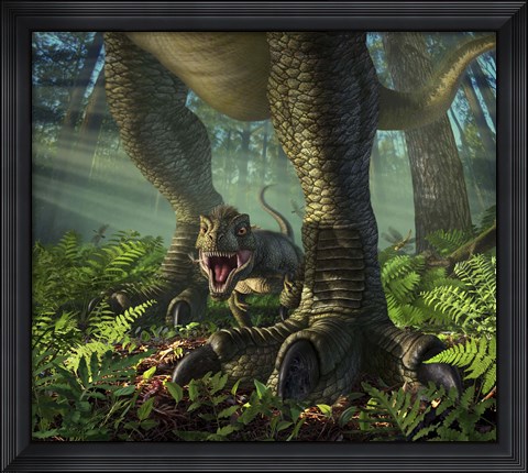 Framed Baby Tyrannosaurus Rex Print