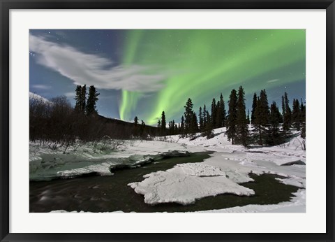 Framed Yukon, Canada Print