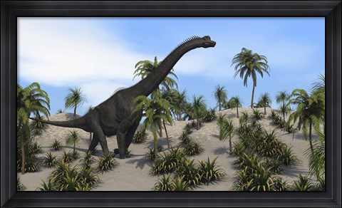 Framed Large Brachiosaurus in a Tropical Environment Print