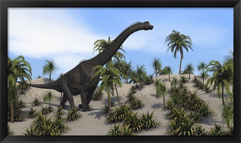 Framed Large Brachiosaurus in a Tropical Environment Print