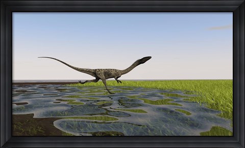Framed Coelophysis Running Print