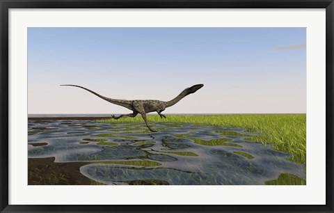 Framed Coelophysis Running Print