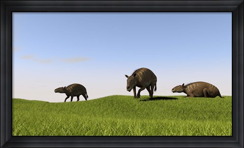 Framed Eurohippus Grazing Print