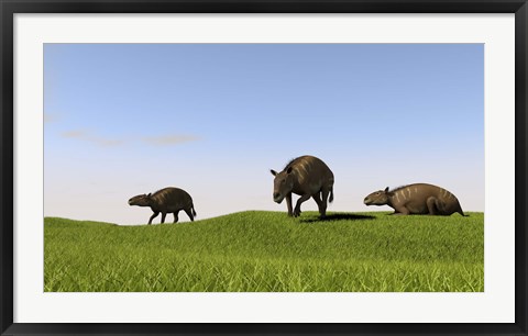 Framed Eurohippus Grazing Print