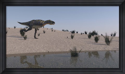 Framed Aucasaurus Print