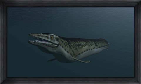 Framed Mosasaur Swimming Print