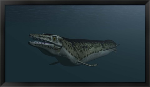 Framed Mosasaur Swimming Print