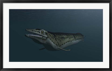 Framed Mosasaur Swimming Print