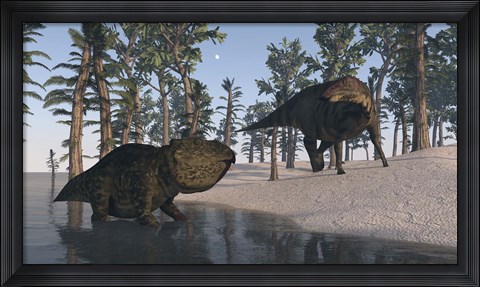 Framed Udanoceratops and Shuangmiaosaurus Print