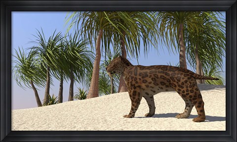 Framed Saber-Tooth Tiger Print