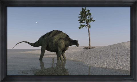 Framed Brachytrachelopan Walking along Water Print