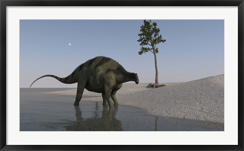 Framed Brachytrachelopan Walking along Water Print