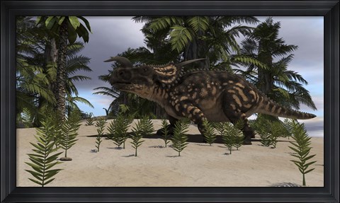 Framed Brown Einiosaurus Print