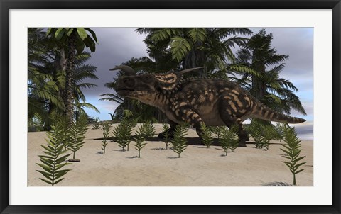 Framed Brown Einiosaurus Print