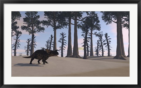 Framed Brown Einiosaurus Roaming Print