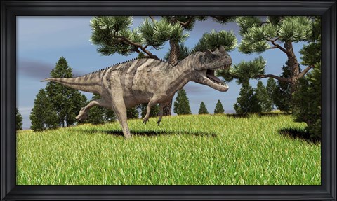 Framed Ceratosaurus Print