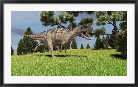 Framed Ceratosaurus Print