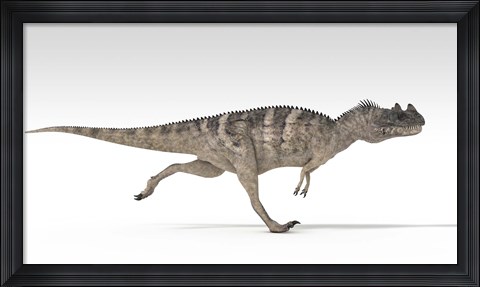 Framed Ceratosaurus Dinosaur Print