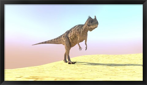 Framed Ceratosaurus Hunting in a Desert Print