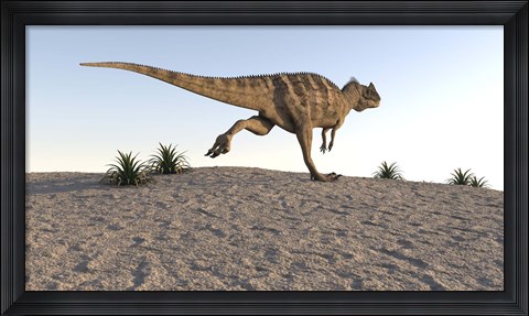 Framed Ceratosaurus Running Across a Terrain Print