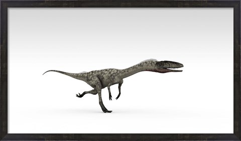 Framed Coelophysis Dinosaur Print