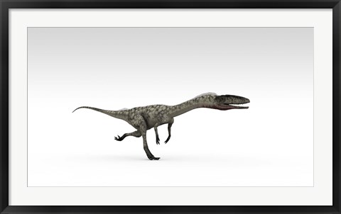 Framed Coelophysis Dinosaur Print