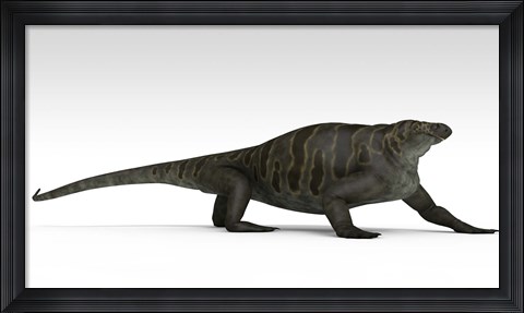 Framed Cotylorhynchus Print