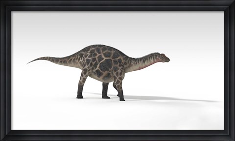 Framed Dicraeosaurus Dinosaur Print