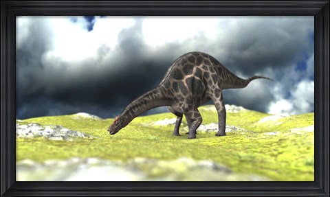 Framed Dicraeosaurus Grazing Print