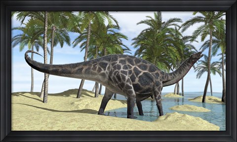 Framed Dicraeosaurus in Shallow Water Print