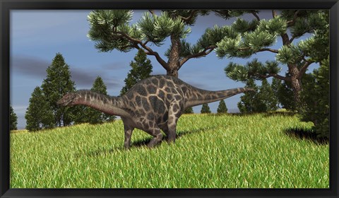 Framed Dicraeosaurus Walking in a Field Print