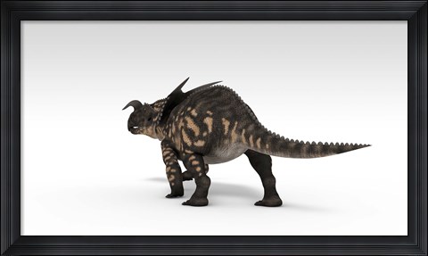 Framed Einiosaurus Dinosaur Print