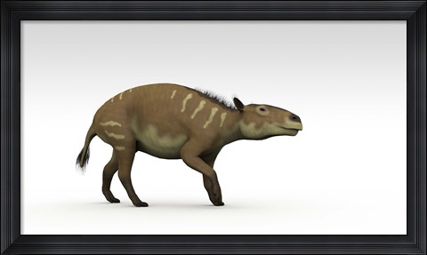 Framed Eurohippus Print