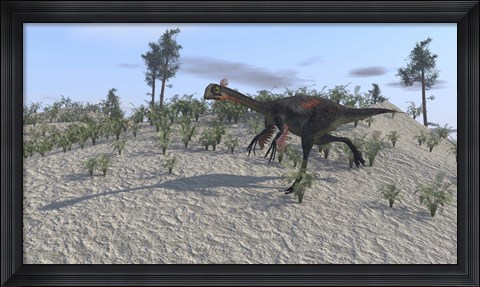 Framed Gigantoraptor Print