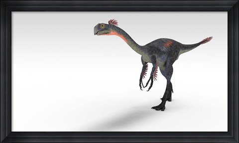 Framed Gigantoraptor Dinosaur Print