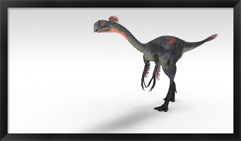 Framed Gigantoraptor Dinosaur Print