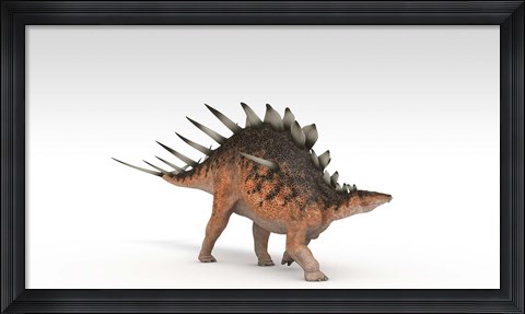 Framed Kentrosaurus Dinosaur Print