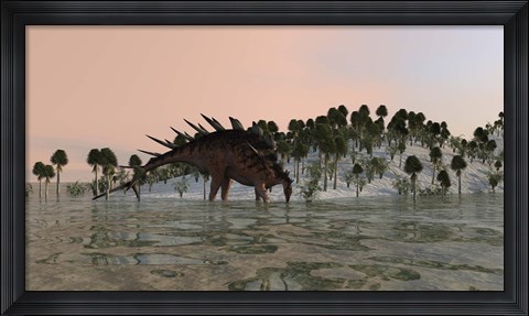 Framed Kentrosaurus Drinking Print